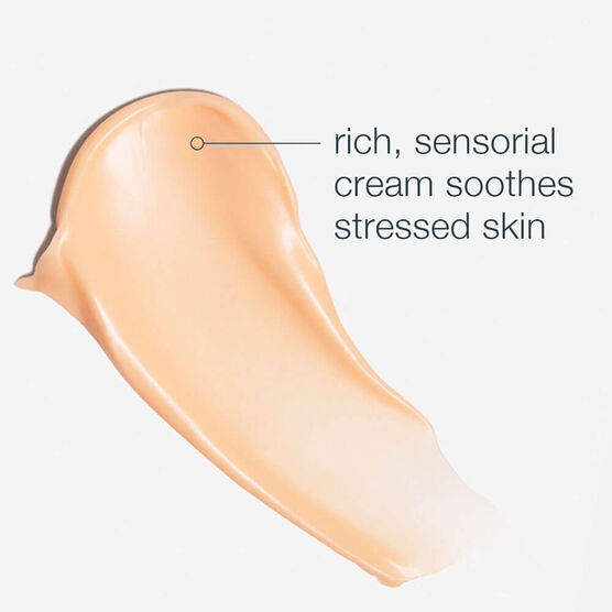 Creme Hidratante Facial Dermalogica MultiVitamin Power Recovery